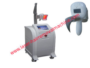 China De vette Machine van Vorstcryo Liposuction Cryolipolysis, de Salonmachine van Cryo Liposuction leverancier